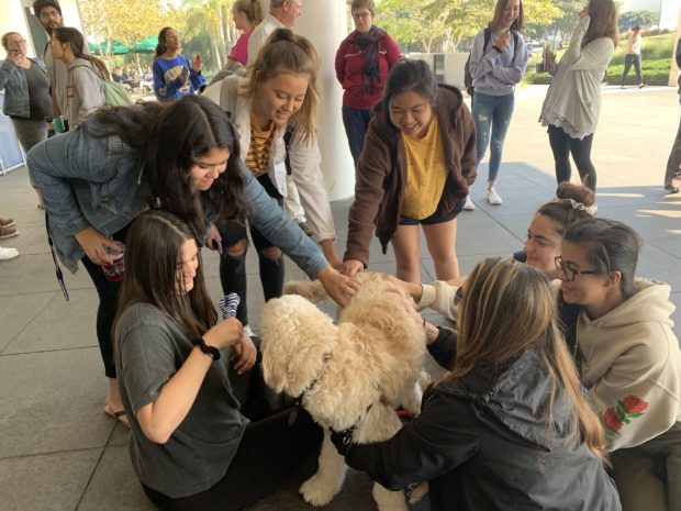 Unknown e1545412144511 620x465 - “Feel Good Finals” Helps Students De-Stress During Finals at LMU Library